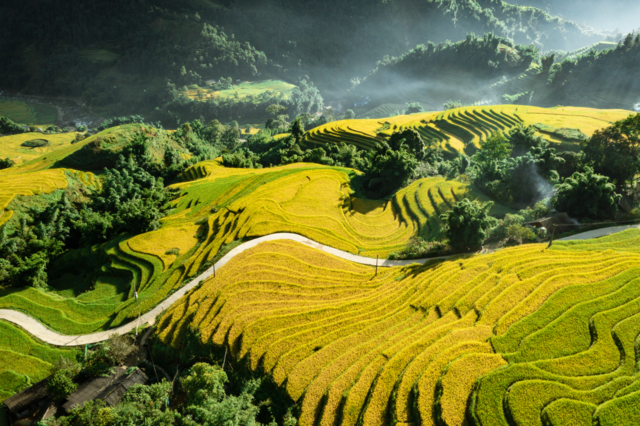 Sapa, Vietnam: A Complete Guide for an Unforgettable Trip